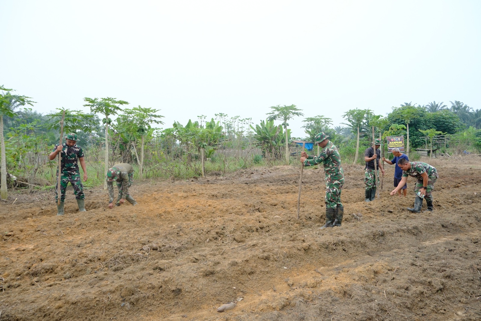 KOLABORASI TNI DAN WARGA, TMMD KE-130 TANAM BIBIT PANGAN DI AEK BATU