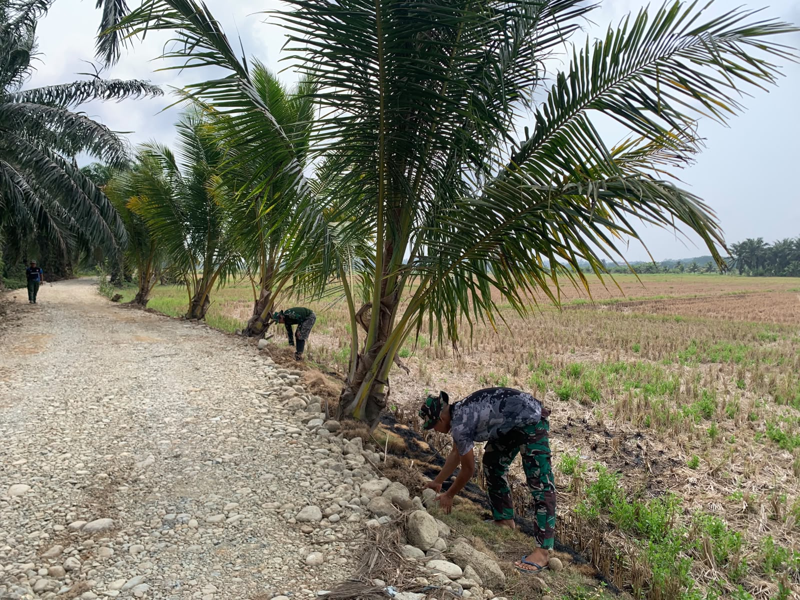 Pembangunan Jalan TMMD ke-130 Kodim 0407/Kota Bengkulu Percepat Pembangunan Daerah
