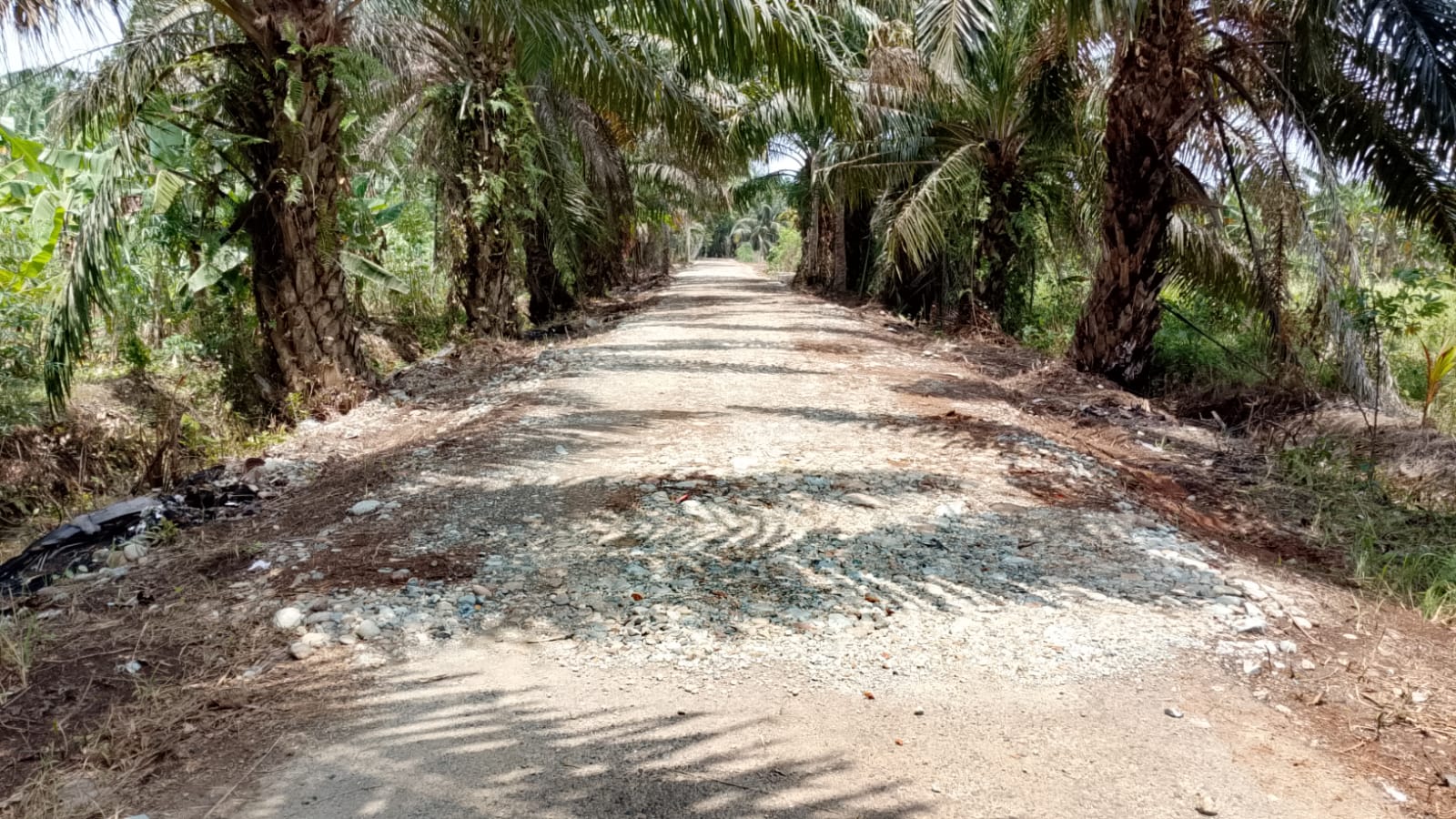 Kolaborasi Tim Teknis dan TNI Pastikan Kualitas Jalan TMMD di Bengkulu Kolaborasi Tim Teknis dan TNI Pastikan Kualitas Jalan TMMD di Bengkulu
