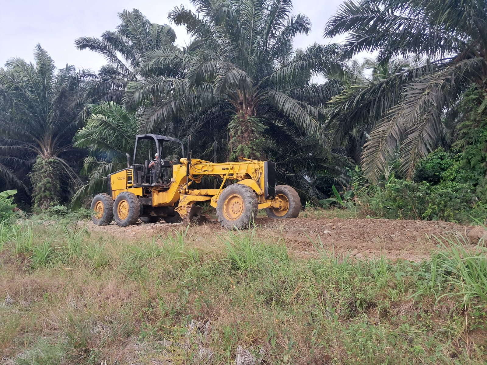 Grader dan Vibro Roller Dikerahkan Maksimal, Pembangunan Jalan TMMD ke-130 di Kandang Limun Terus Dikebut