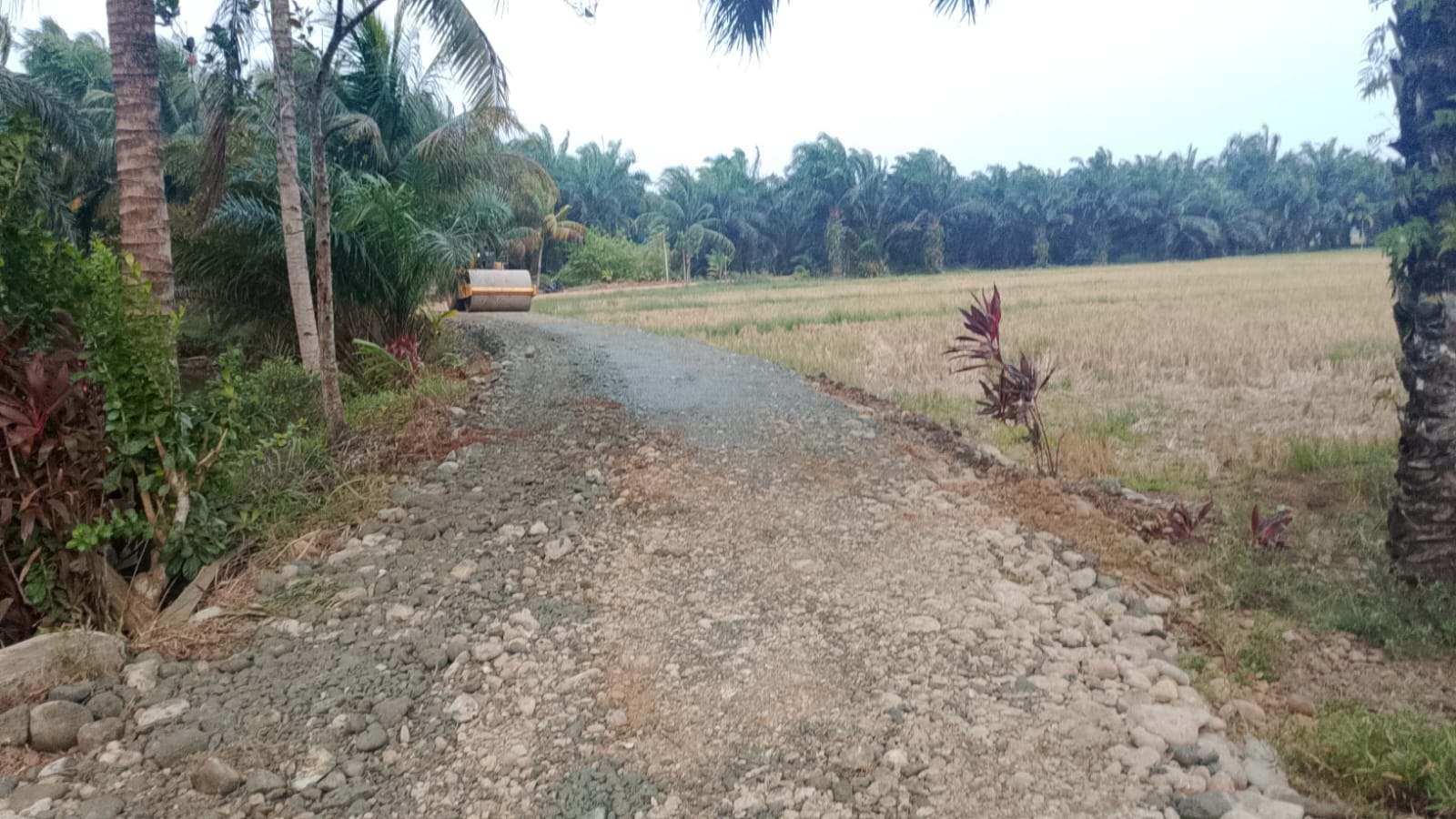 Optimisme Ada di Kandang Limun Usai Pembangunan Jalan TMMD ke-130