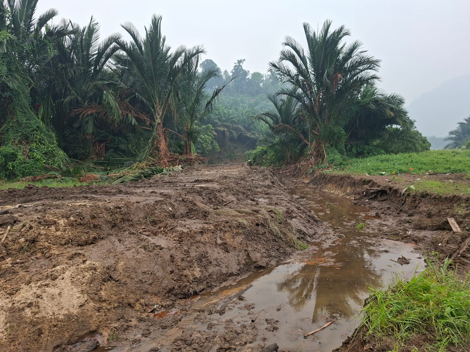 TMMD Ke-130 Kodim 1210/Landak: Plesteran Dinding Rumah Warga untuk Hunian yang Lebih Baik