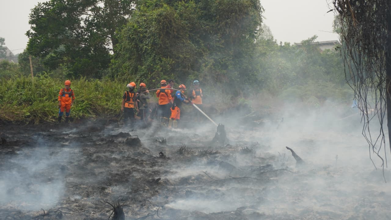 Sinergi Tim Pemadam Kebakaran Batalkan Penyebaran Api di Kotawaringin Timur