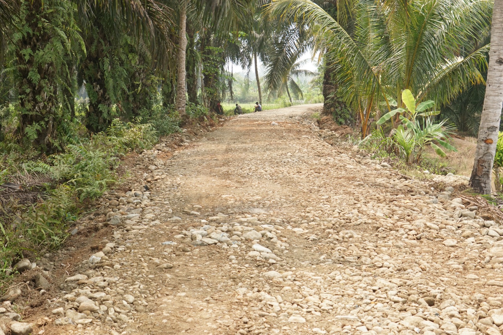 Infrastruktur TMMD ke-130: Solusi Akses untuk Petani Kandang Limun