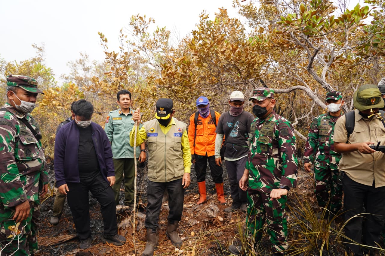Monitoring Kebakaran Hutan: Langkah Strategis di Kalimantan Tengah