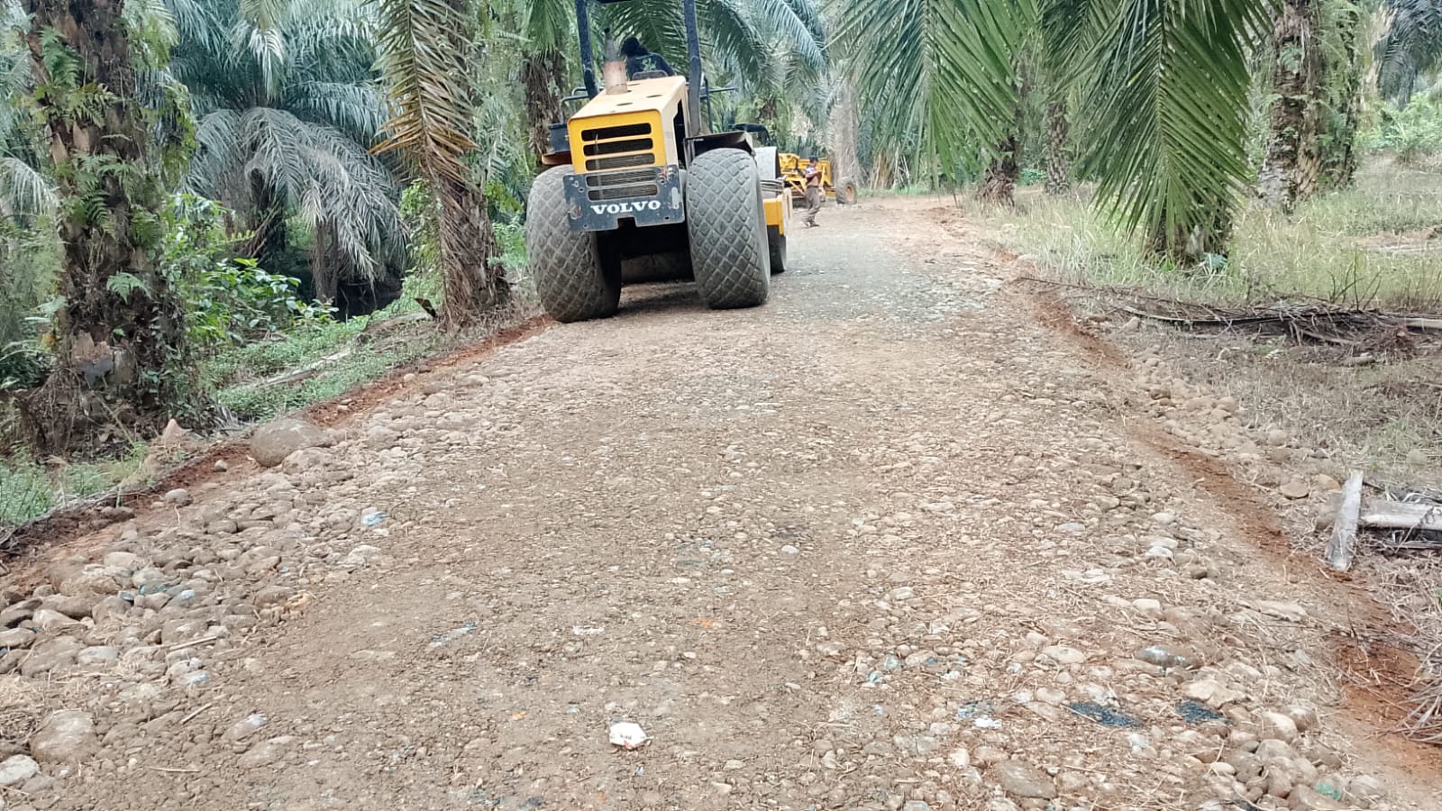Dua Pekan Berjalan, Progres Pembangunan Jalan TMMD ke-130 Kodim 0407/Kota Bengkulu Tembus 50 Persen