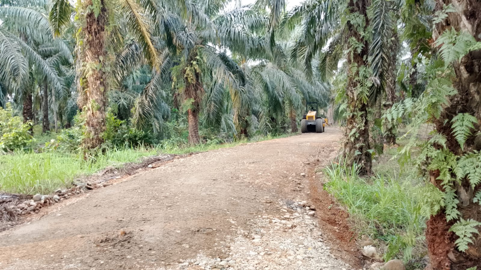Dari Material hingga Akses Ekonomi, Satgas TMMD Bangun Jalan 2,9 Kilometer di Bengkulu Dari Material hingga Akses Ekonomi, Satgas TMMD Bangun Jalan 2,9 Kilometer di Bengkulu