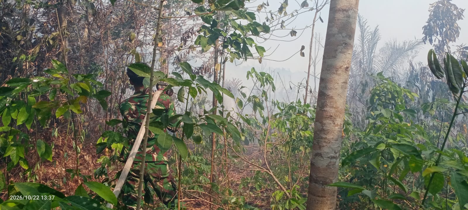 Upaya Kodim 1015/Sampit Mencegah Kebakaran dengan Pembasahan Lahan Terbakar