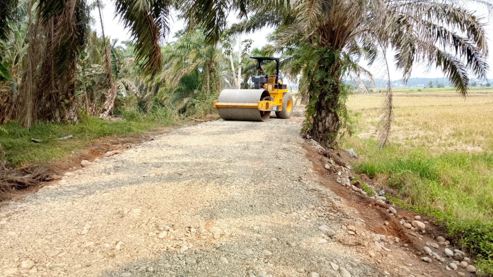Proyek TMMD Kodim 0407: Pembangunan Jalan 2,9 Kilometer untuk Akses Ekonomi Masyarakat