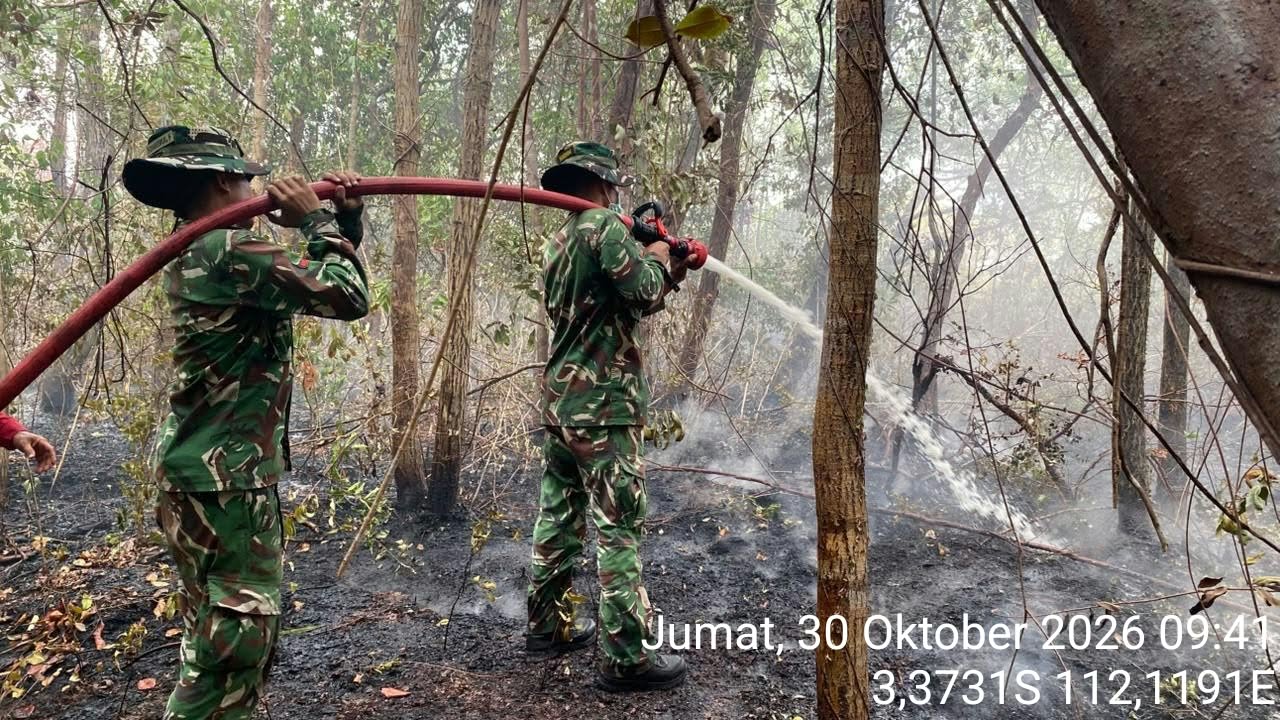 TNI dan TNTP Bersatu Atasi Kebakaran di Taman Nasional Tanjung Puting