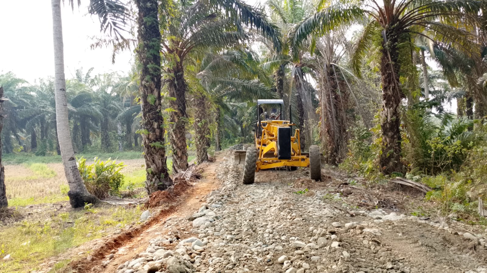 Infrastruktur Jalan Baru TMMD ke-130: Mendorong Pertumbuhan Ekonomi dan Mobilitas