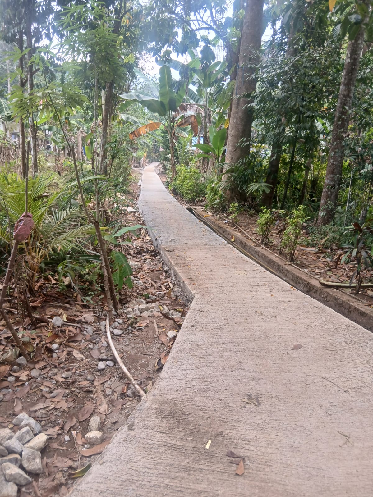 Pengecoran Jalan Lingkungan 1 Mulai Berjalan, Satgas TMMD ke-130 Kodim 1504/Ambon Optimalkan Pembangunan