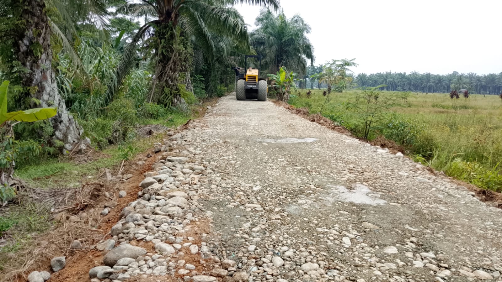 Kerjasama TNI dan Masyarakat Dalam Proyek TMMD ke-130 Kodim 0407/Bengkulu Sudah Capai 80 Persen Kerjasama TNI dan Masyarakat Dalam Proyek TMMD ke-130 Kodim 0407/Bengkulu Sudah Capai 80 Persen