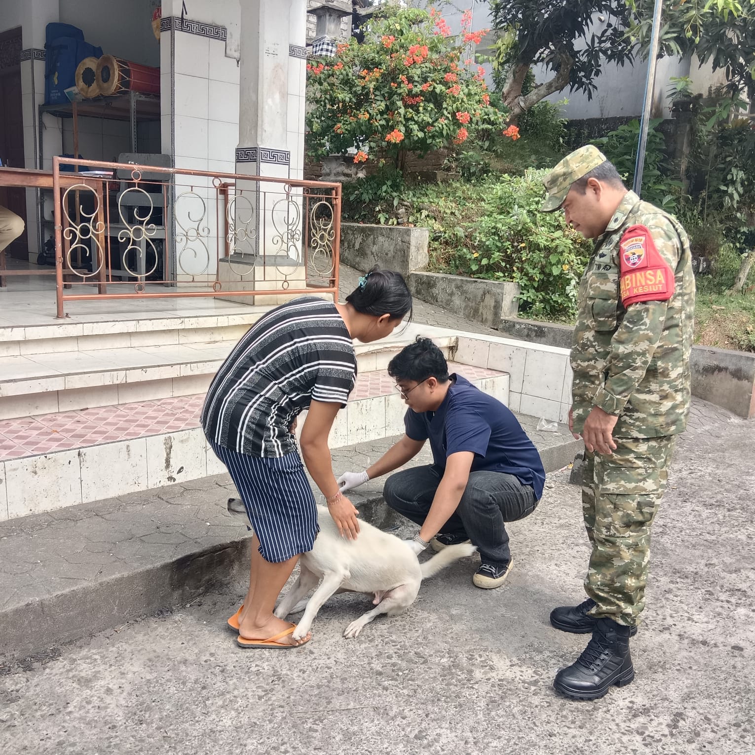 Desa Kesiut Laksanakan Vaksinasi Hewan untuk Cegah Rabies di Wilayahnya