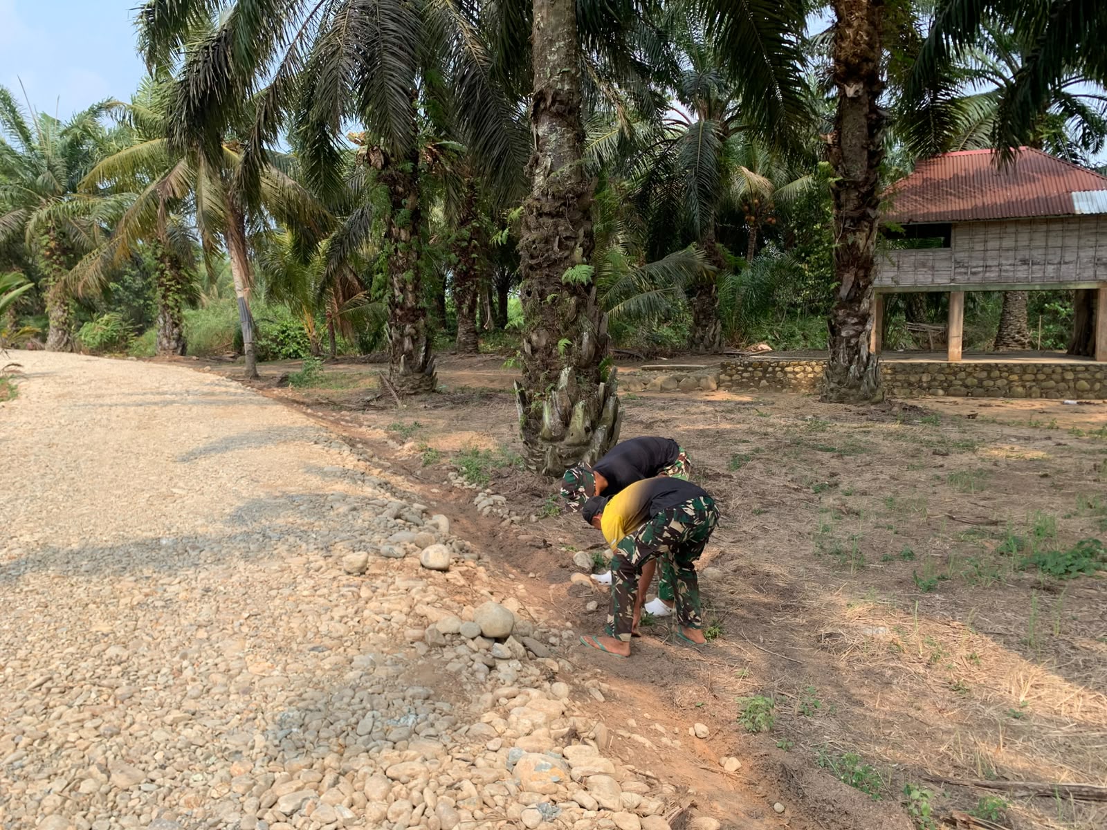 Program TMMD Tingkatkan Infrastruktur Pertanian di Kandang Limun Program TMMD Tingkatkan Infrastruktur Pertanian di Kandang Limun
