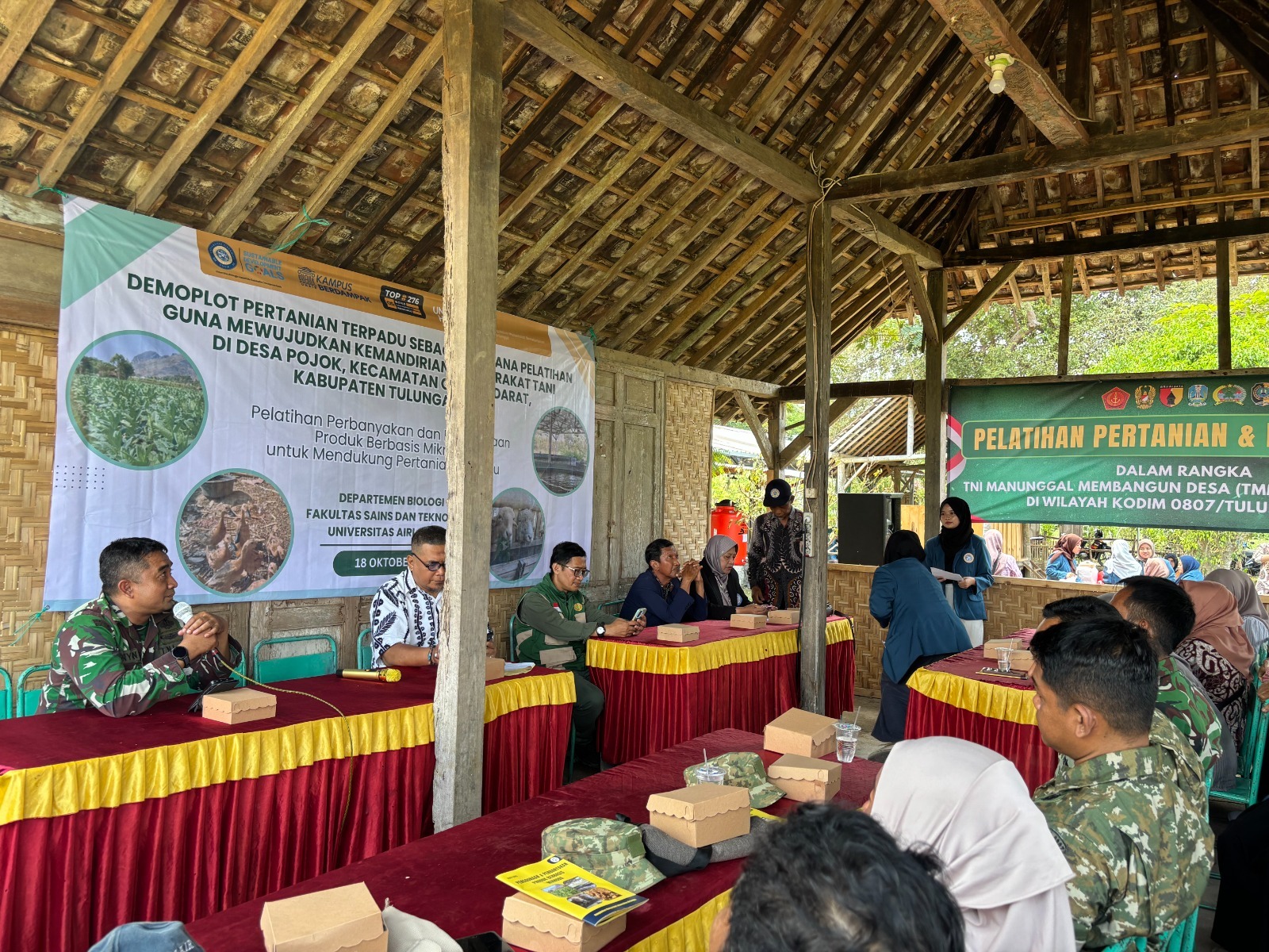 Satgas TMMD Ajak Petani Pojok Kembangkan Pertanian Melalui Demplot Inovatif