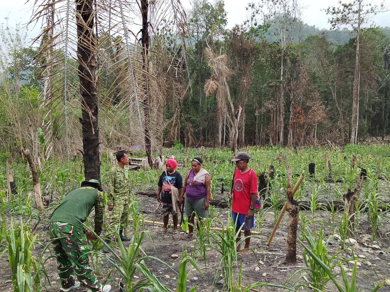 Satgas TMMD ke-130 Laksanakan Penyuluhan Pertanian untuk Warga Kampung Yamboi